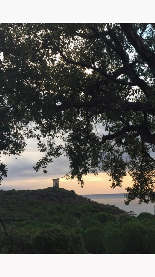 Domaine Valdaronu Villa Sainte-Lucie de Porto-Vecchio Ngoại thất bức ảnh