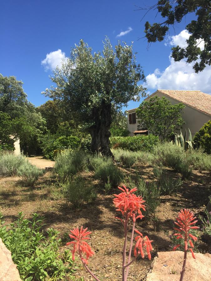 Domaine Valdaronu Villa Sainte-Lucie de Porto-Vecchio Ngoại thất bức ảnh